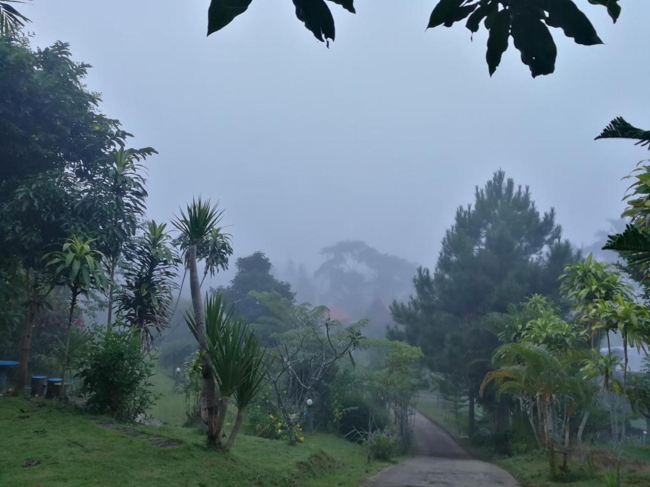 บ้านพนาวันเขาค้อรีสอร์ท Ban Khao Ya Nua Zewnętrze zdjęcie